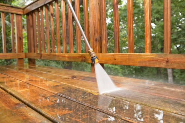 Best Roof Pressure Washing  in Deming, NM